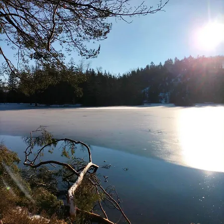 Des Lutins - Belle Fleur
