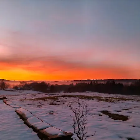 Des Lutins - Belle Fleur *