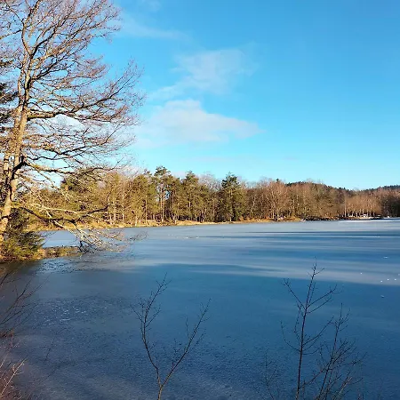 Des Lutins - Belle Fleur