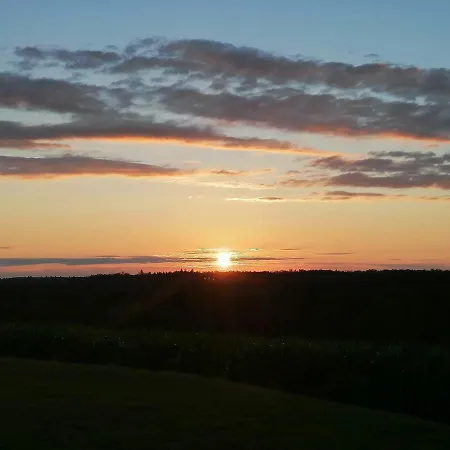 Tente de luxe Des Lutins - Belle Fleur