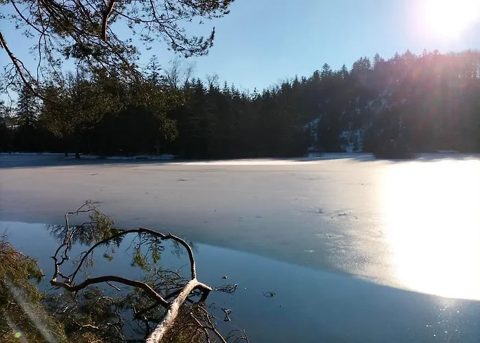 Des Lutins - Belle Fleur