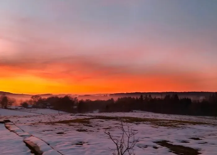 Des Lutins - Belle Fleur *