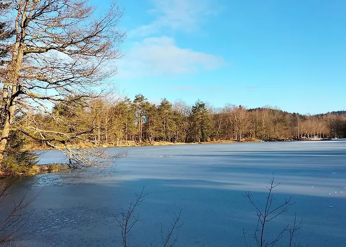 Des Lutins - Belle Fleur