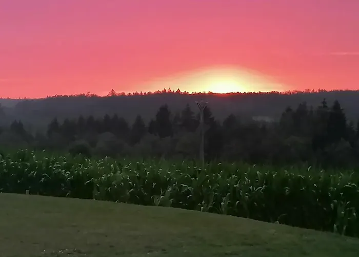 럭셔리텐트 Des Lutins - Belle Fleur