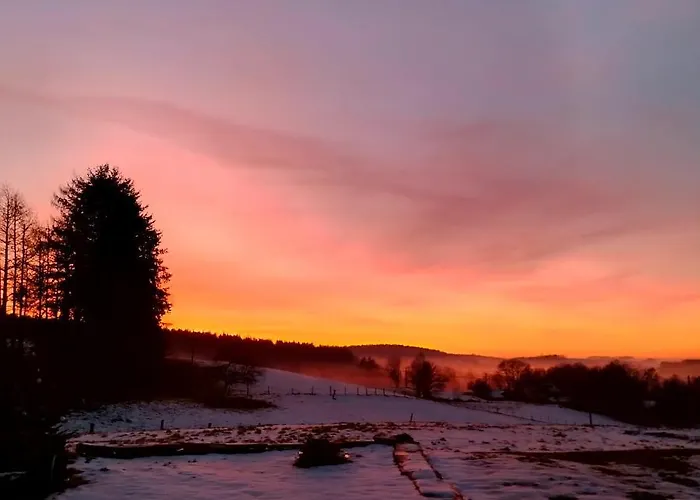 Des Lutins - Belle Fleur 생 나보르드