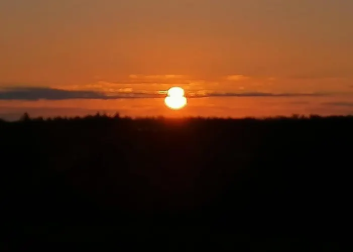 Des Lutins - Belle Fleur 생 나보르드