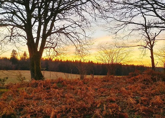 Des Lutins - Belle Fleur 럭셔리텐트 *