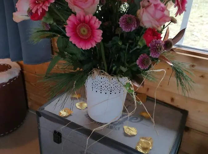 Des Lutins - Belle Fleur 생 나보르드